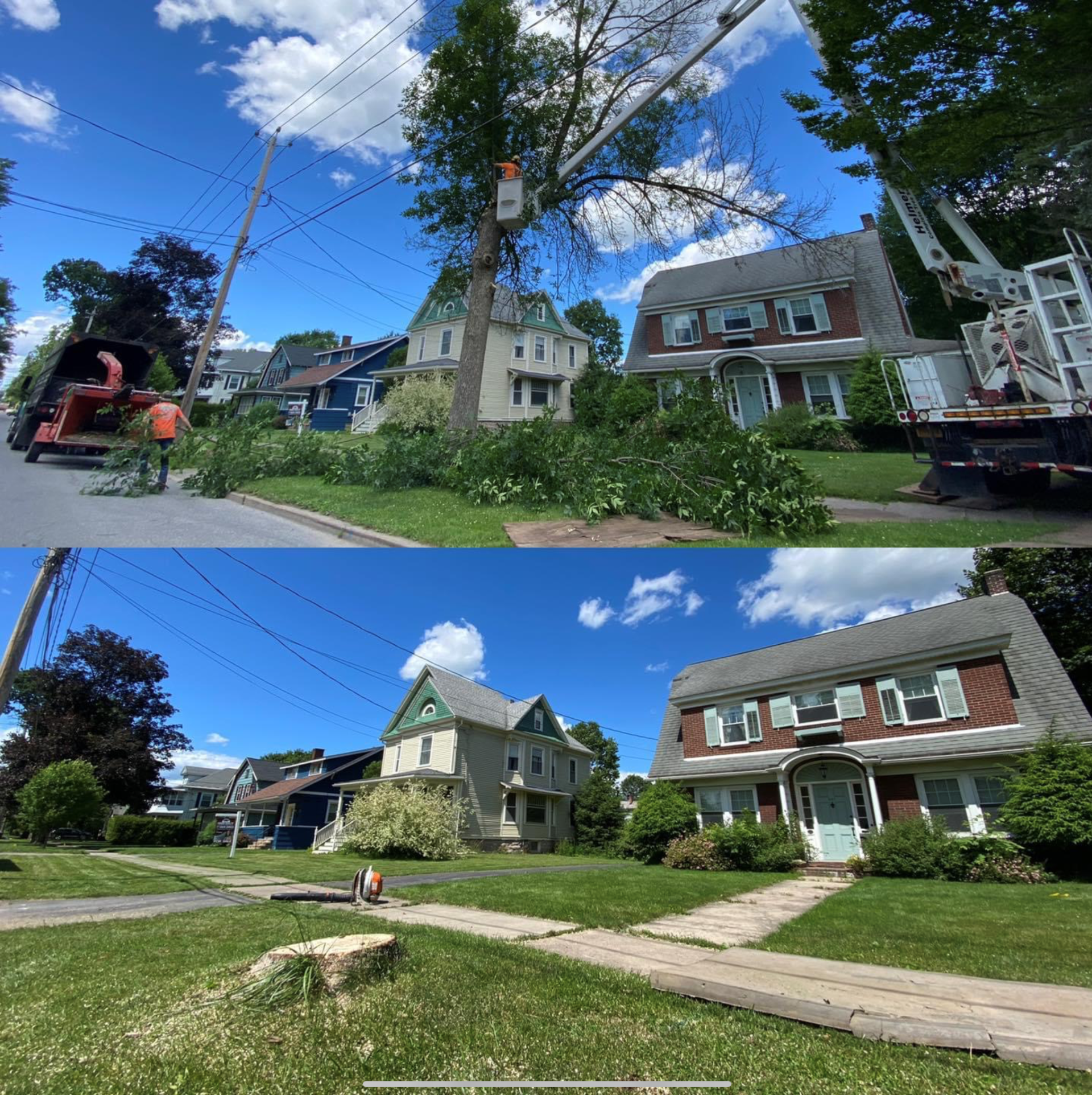 Tree Removing Bulldozers - Durhamville, NY - Helmer’s Complete Tree & Landscape