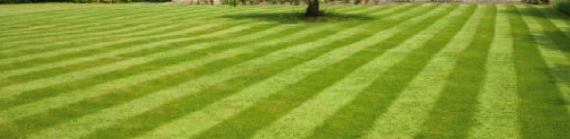 Green Grass With Line Pattern - Durhamville, NY - Helmer’s Complete Tree & Landscape