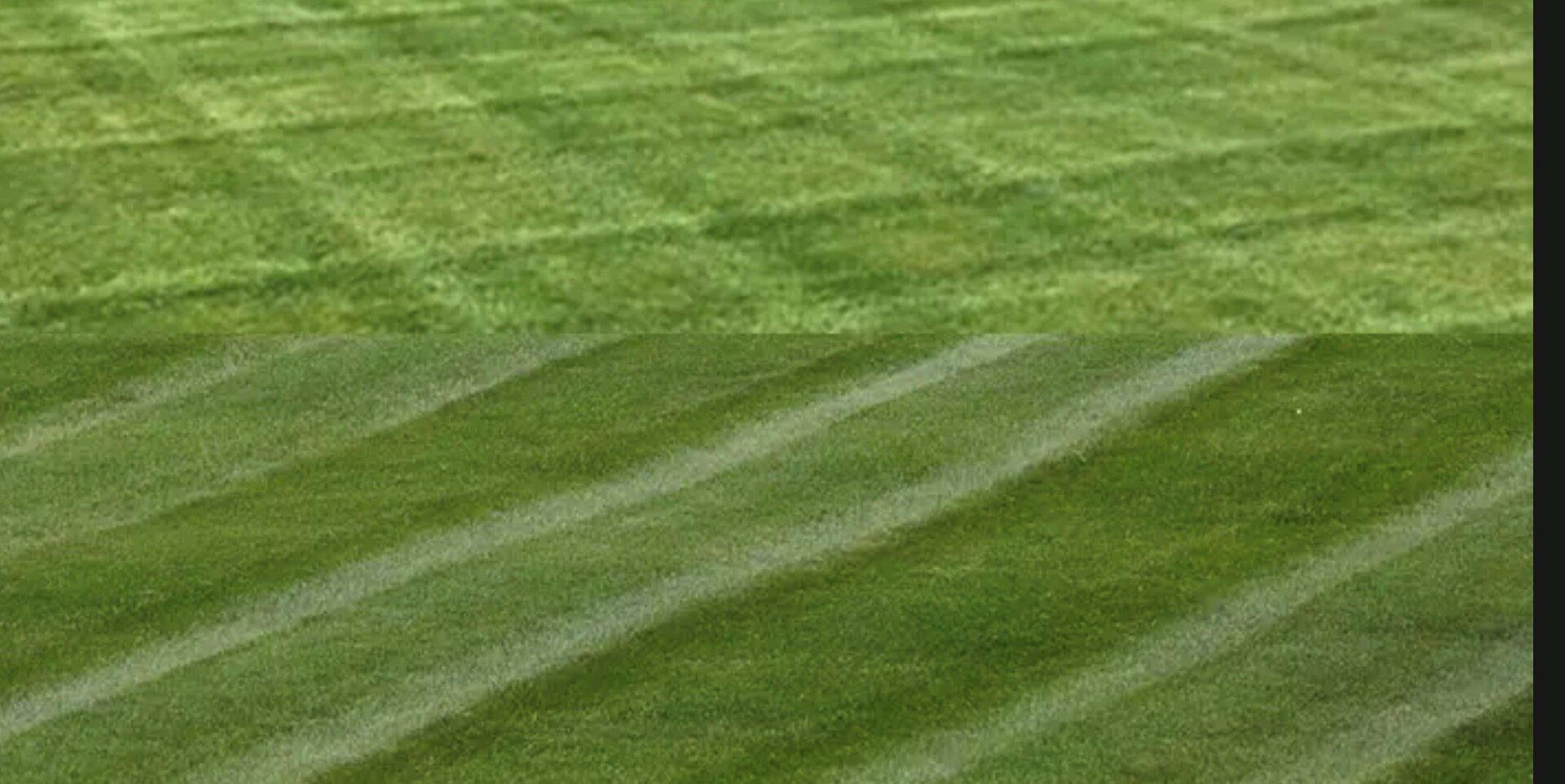 Green Grass With Pattern - Durhamville, NY - Helmer’s Complete Tree & Landscape