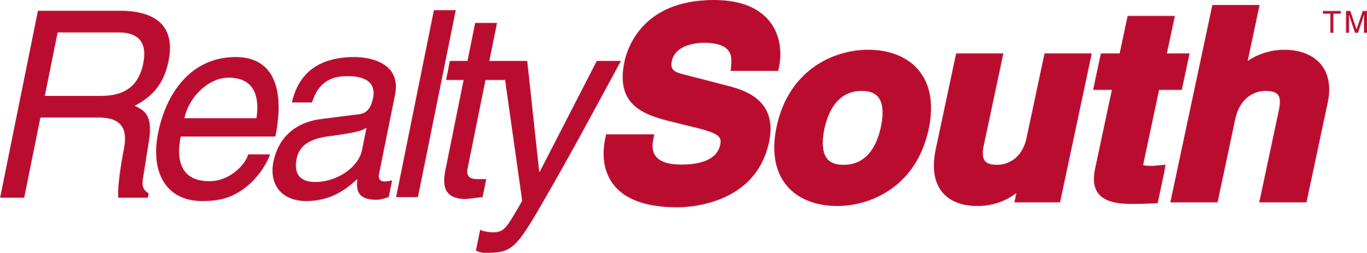 The red RealtySouth logo text on a white background.