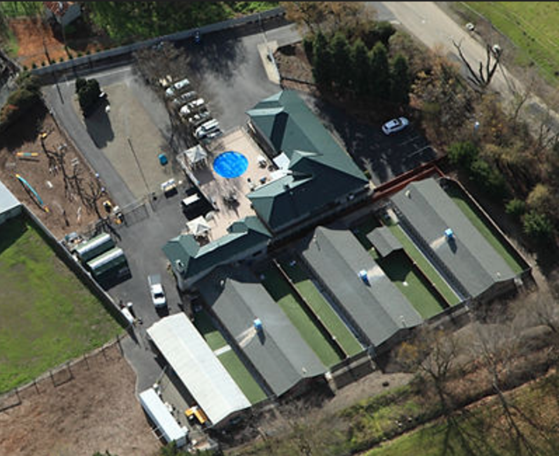Aerial view of a dog boarding facility with multiple buildings, a pool, and outdoor play areas on a sunny day.