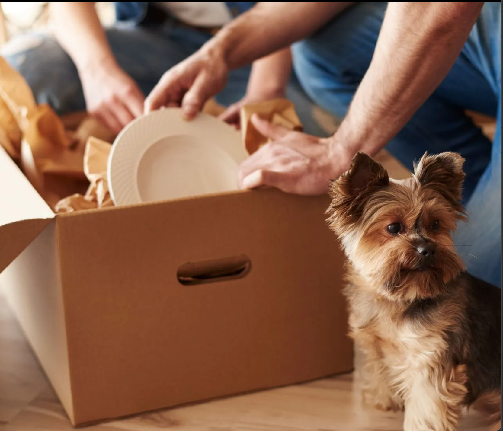 London local moving services The Mover Group