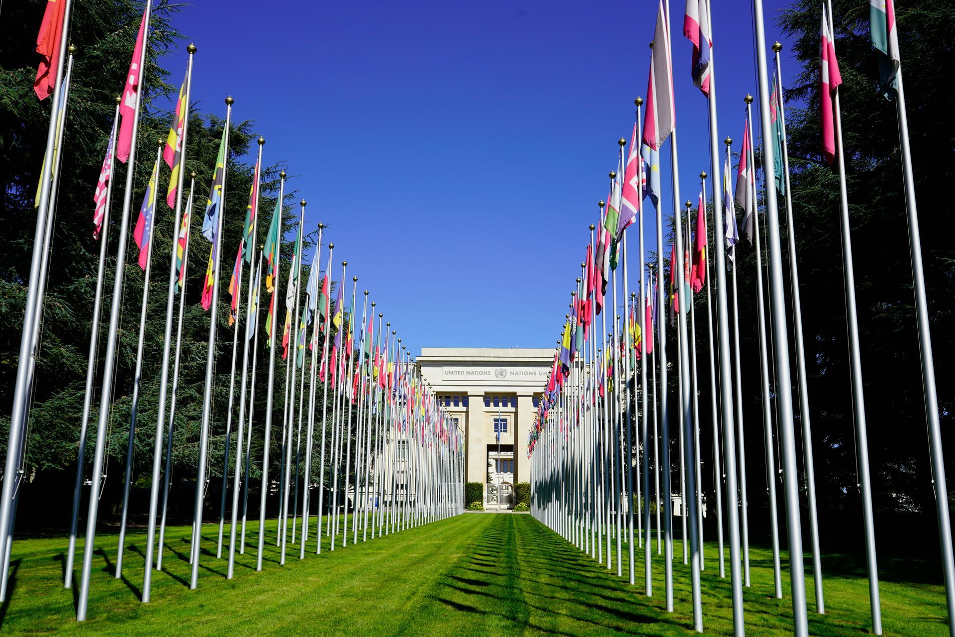 Diplomatic relocation services London — unsplash.jpgFlags at the United Nations — diplomatic relocation services London
