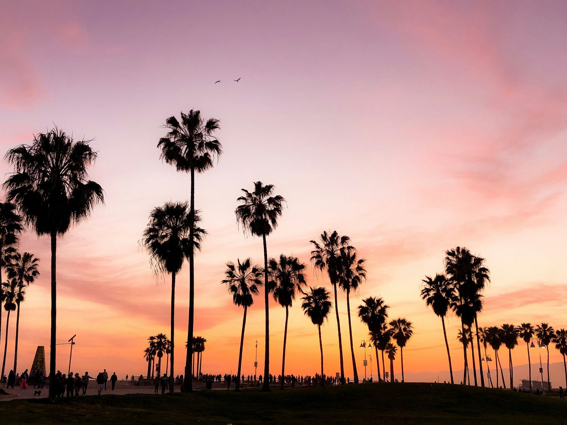 Palm trees silhouetted against an orange sunset on a Los Angeles beach
