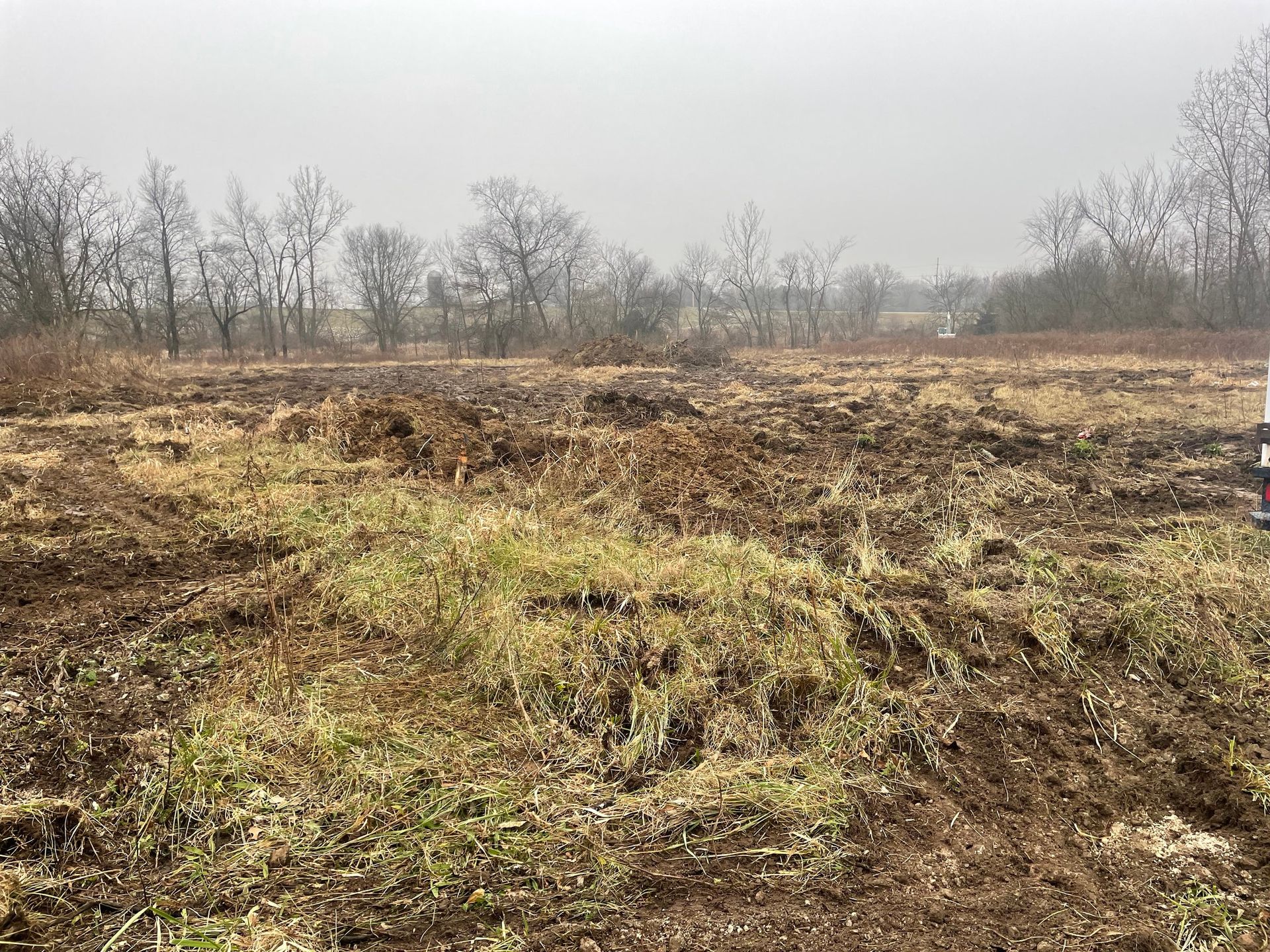 Field of brown and green grass, with bare trees in the background under an overcast sky.