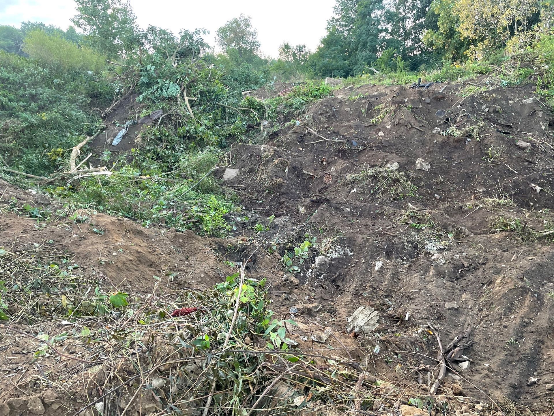 A hillside covered in exposed dirt, cut vegetation, and small trees, under a cloudy sky.