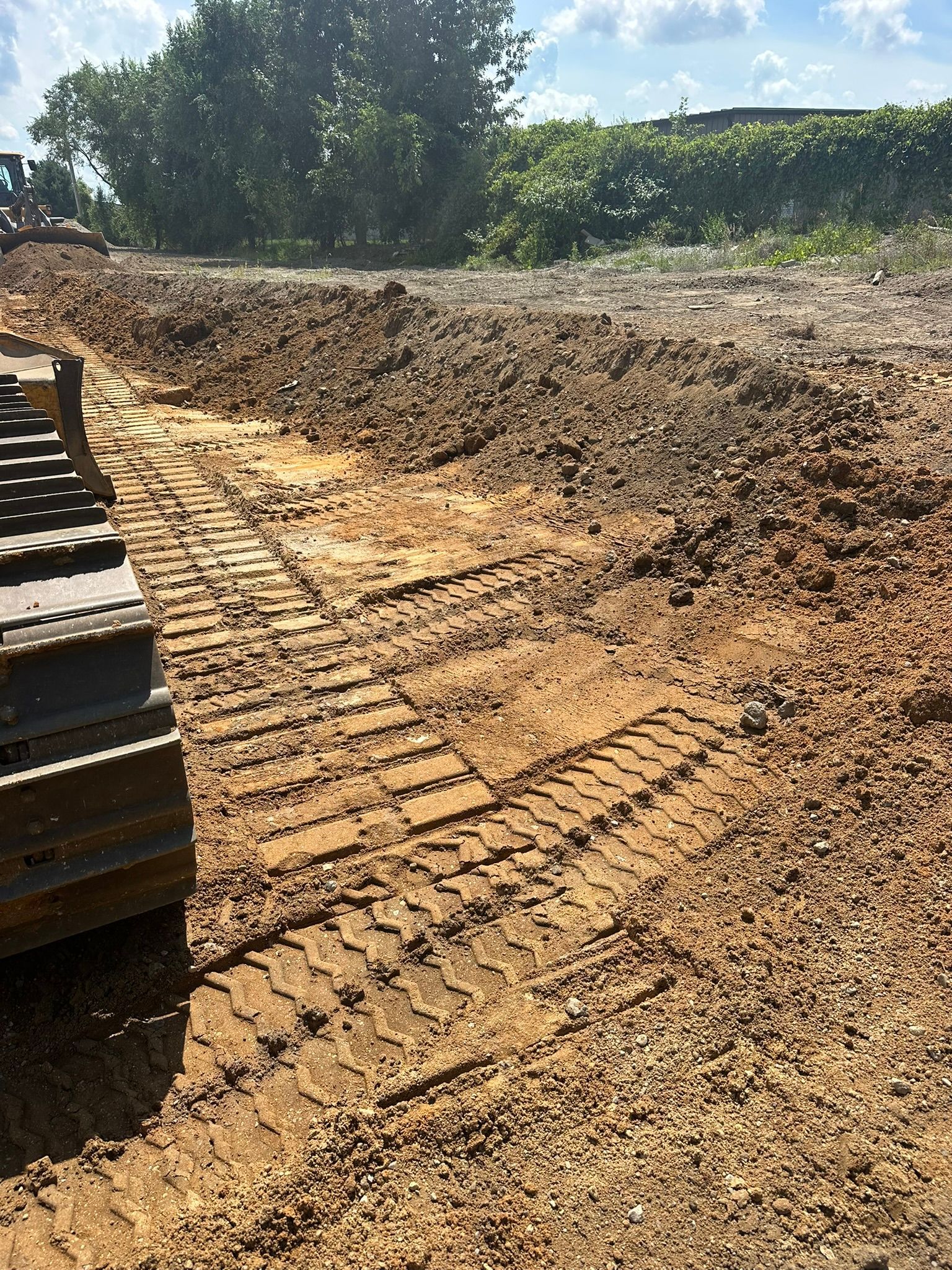 Muddy ground with tractor tracks, a pile of wood on the left, and trees in the background under a blue sky.