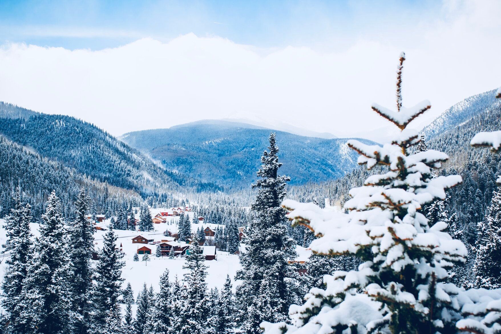 Cabins in the snow