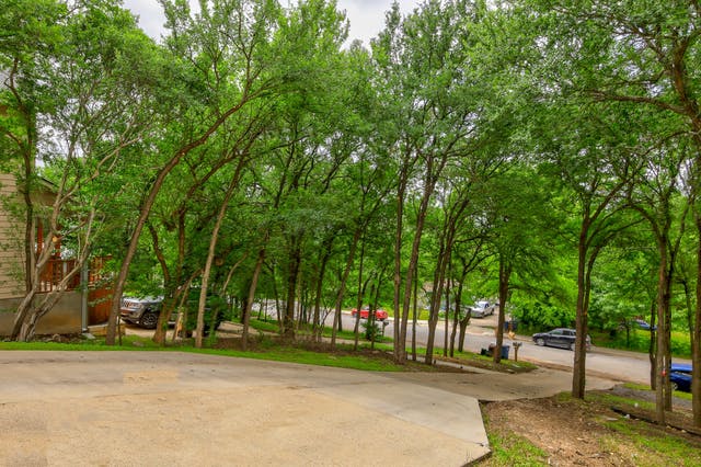 Ledesma yard