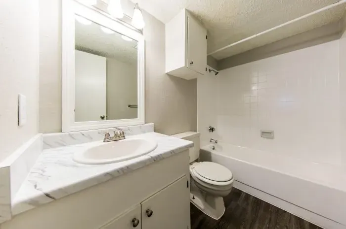 Bathroom with sink, toilet, and shower with tub.
