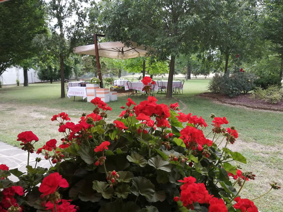 giardino