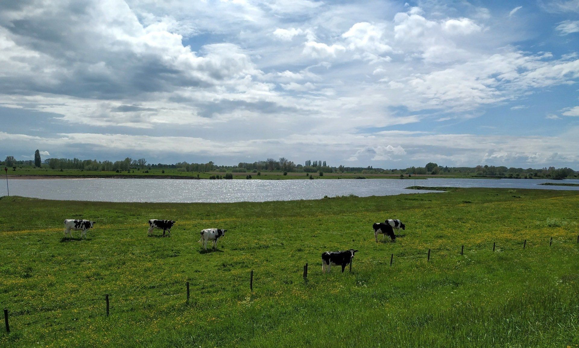 View of the river Lek
