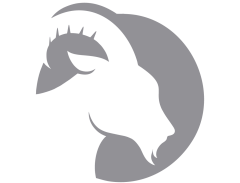 Concreting Icon
