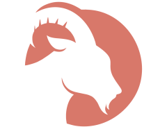 Demolition Icon