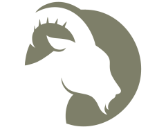 Restoration Icon