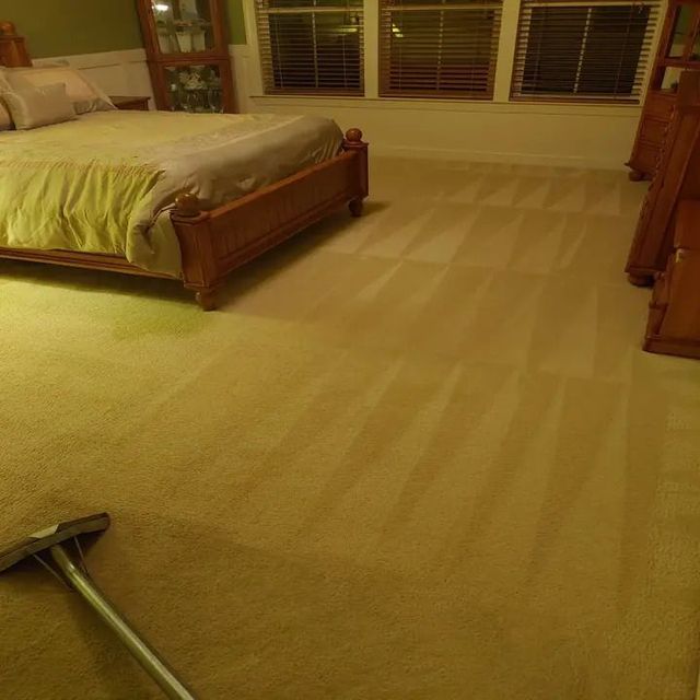 Bedroom with beige carpet, cleaned in rows. A bed and furniture are in the room. Carpet cleaning equipment in the foreground.