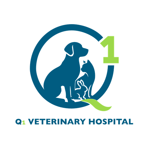 Q1 Veterinary Hospital