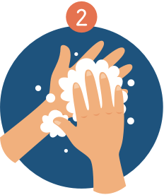 Washing hands with soap, hands in a blue circle, step 2 of handwashing.