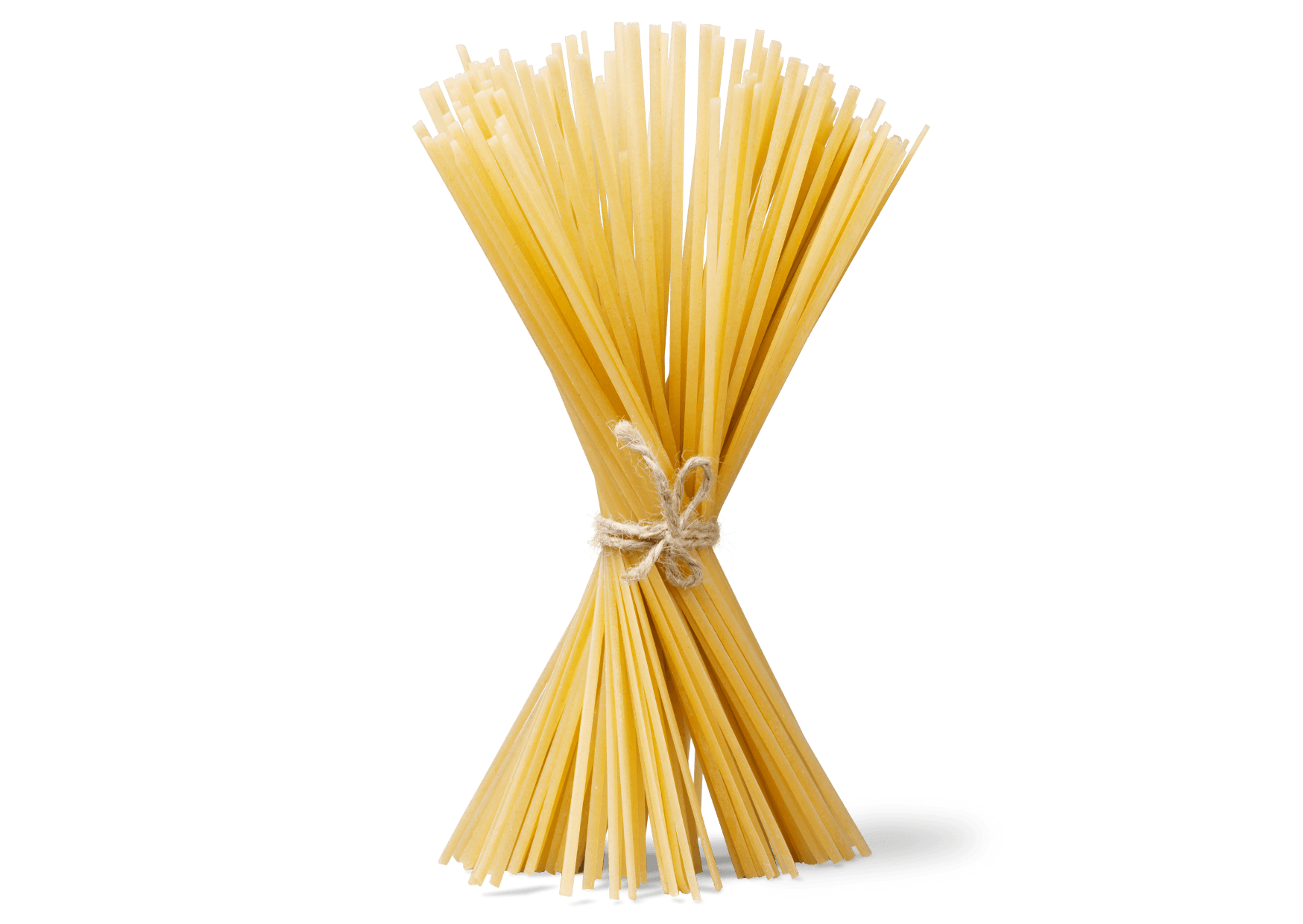 Bundle of uncooked spaghetti tied with twine on a white background.