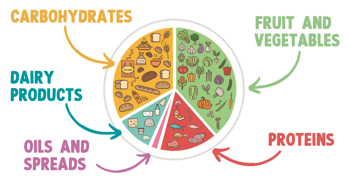 A diagram showing a plate divided into sections for food groups: carbohydrates, fruits/vegetables, proteins, dairy, and oils.