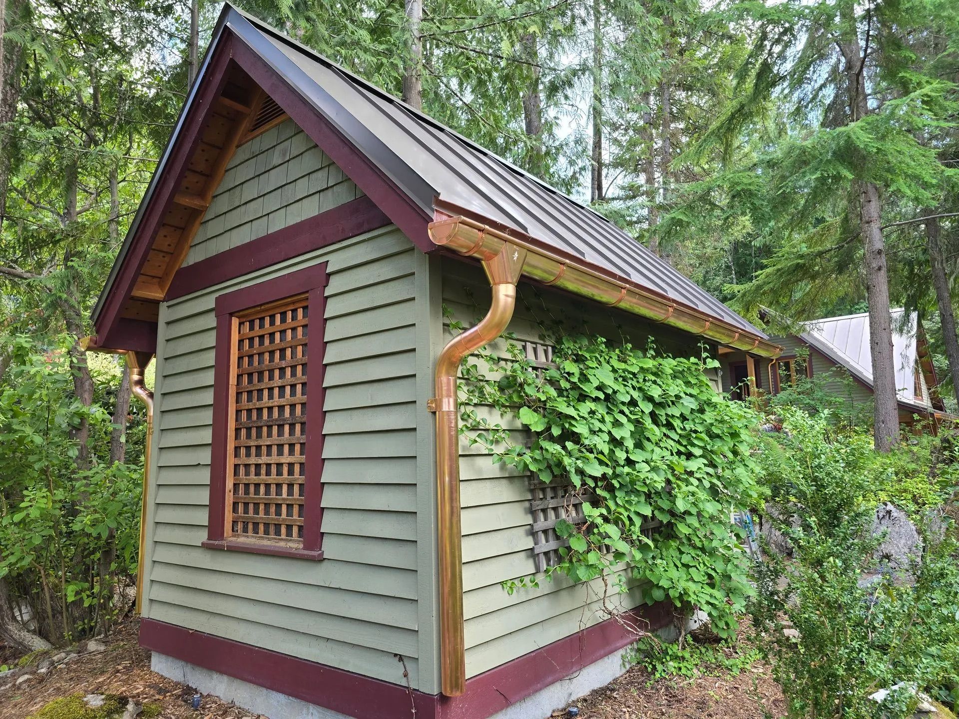 Small green garden shed with a red roof in a wooded area, covered in climbing vines.