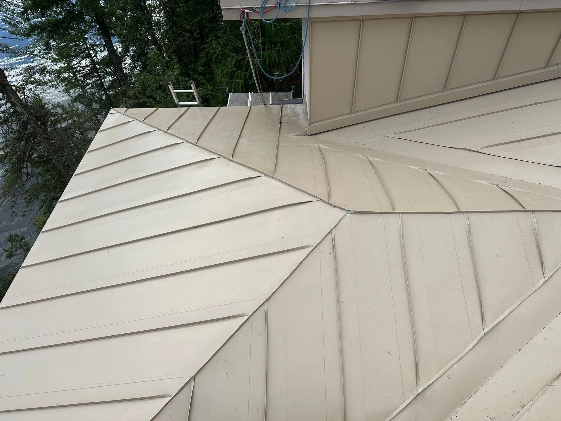 White metal roof with seams and a rooftop ladder near trees and a beige building
