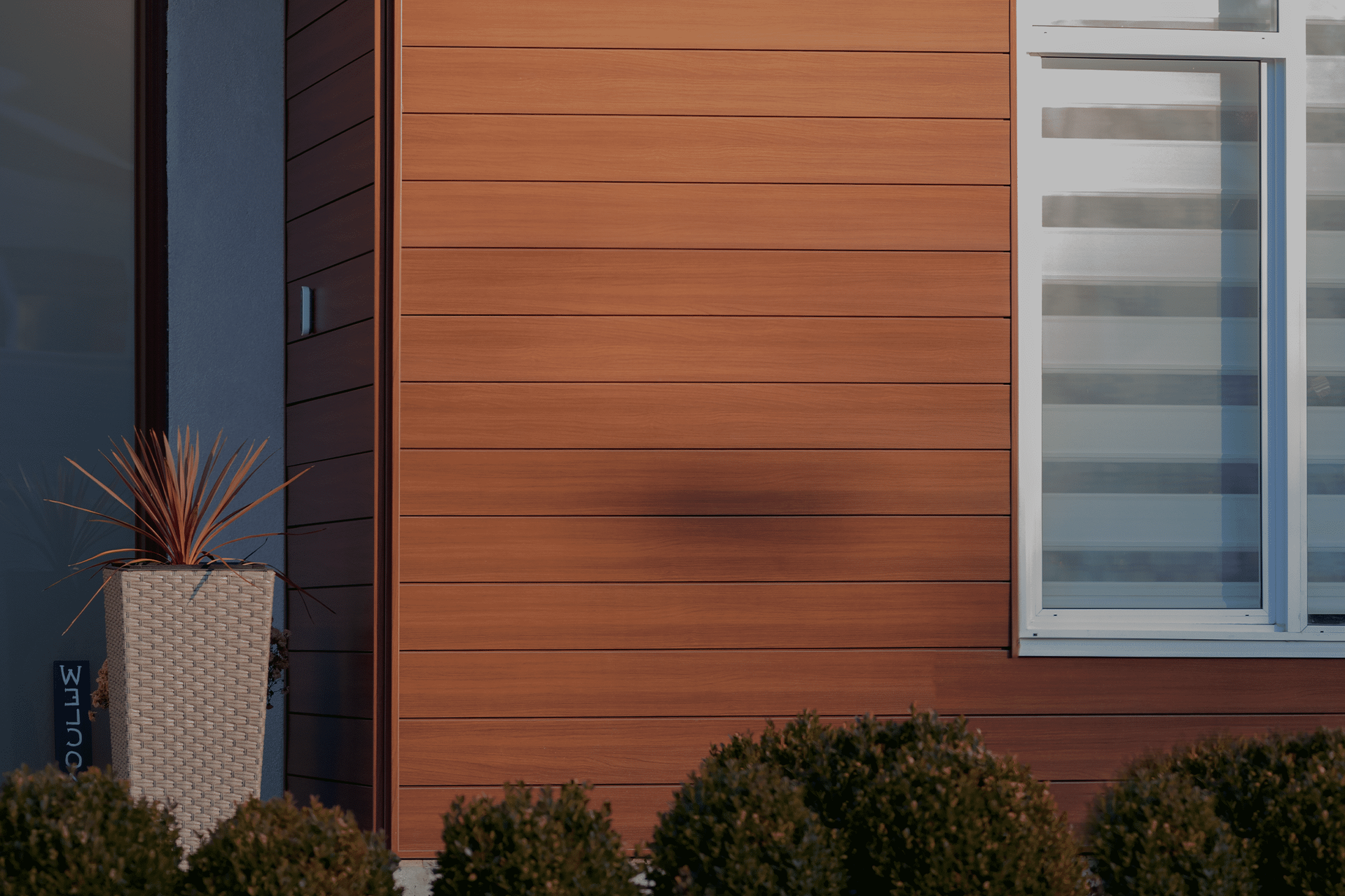 Modern house exterior with warm wood siding, a window, and shrubs along the base