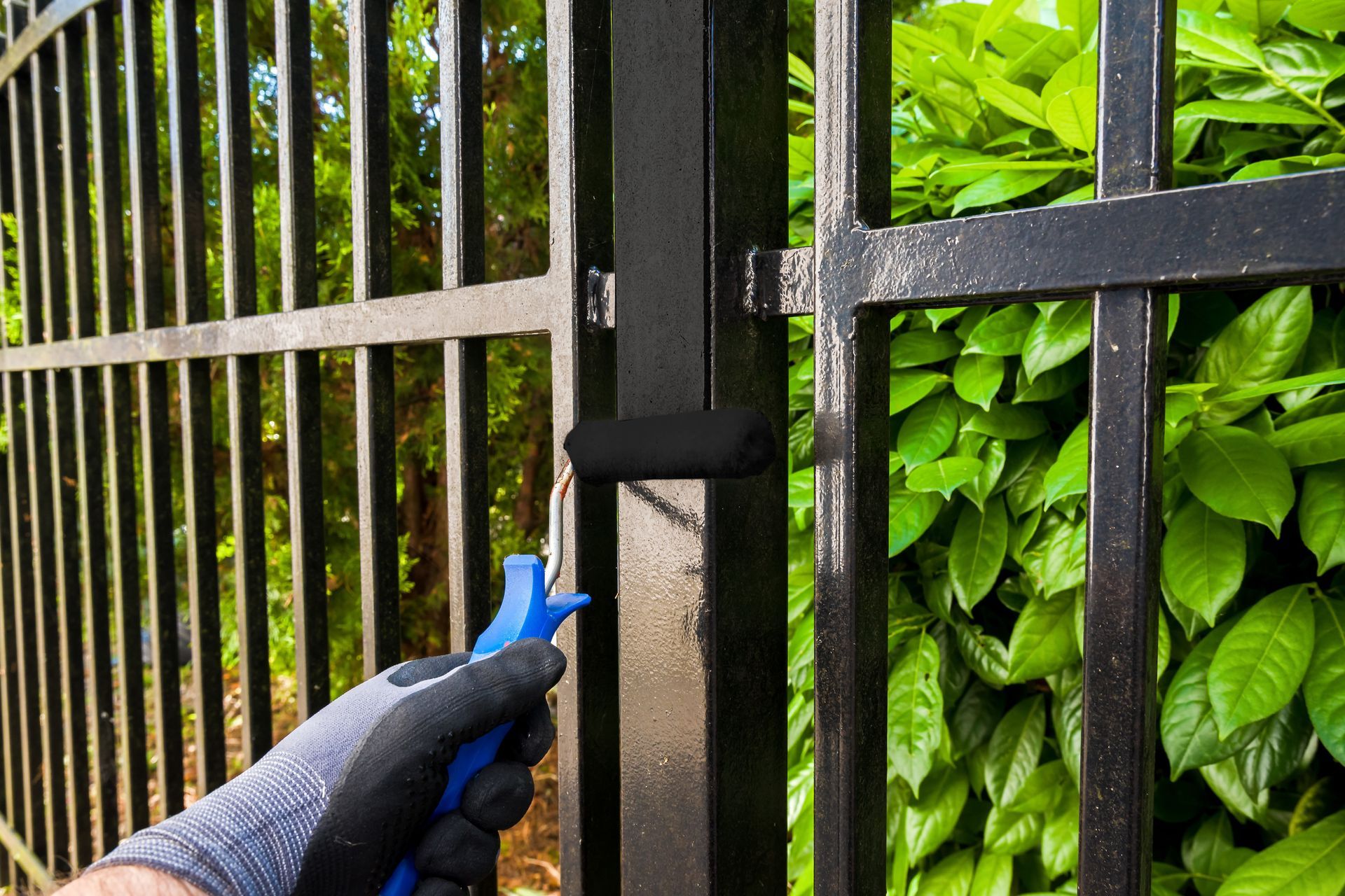 Gloved hand using a blue tool to work on a black metal gate beside dense green foliage