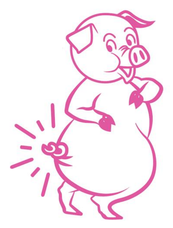 The Slatington Farmers Market // Washington Township PA