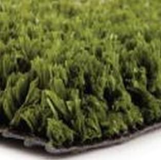 Pile of fresh green leafy herbs on a white background