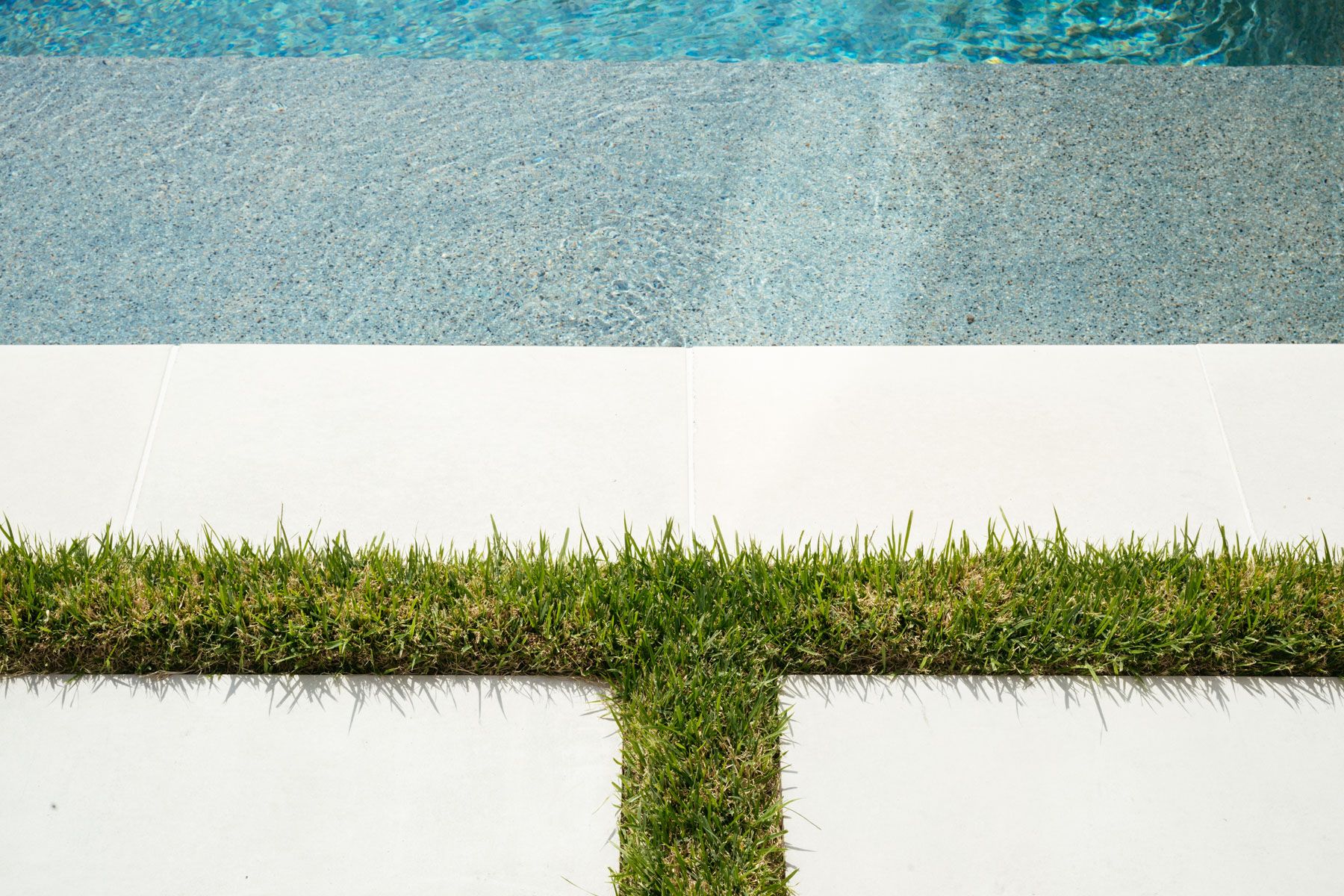 Pool edge with white tiles, green grass strip, and blue water at the top