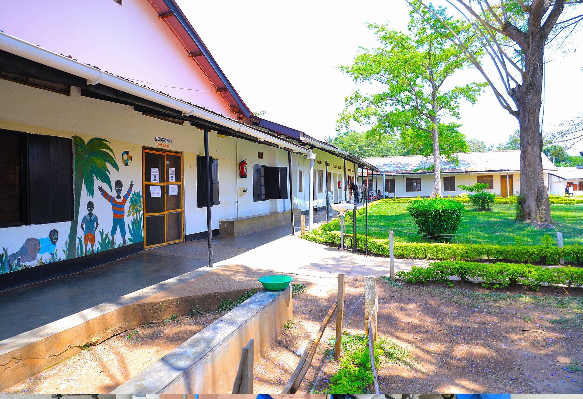A row of buildings with trees and bushes in front of them