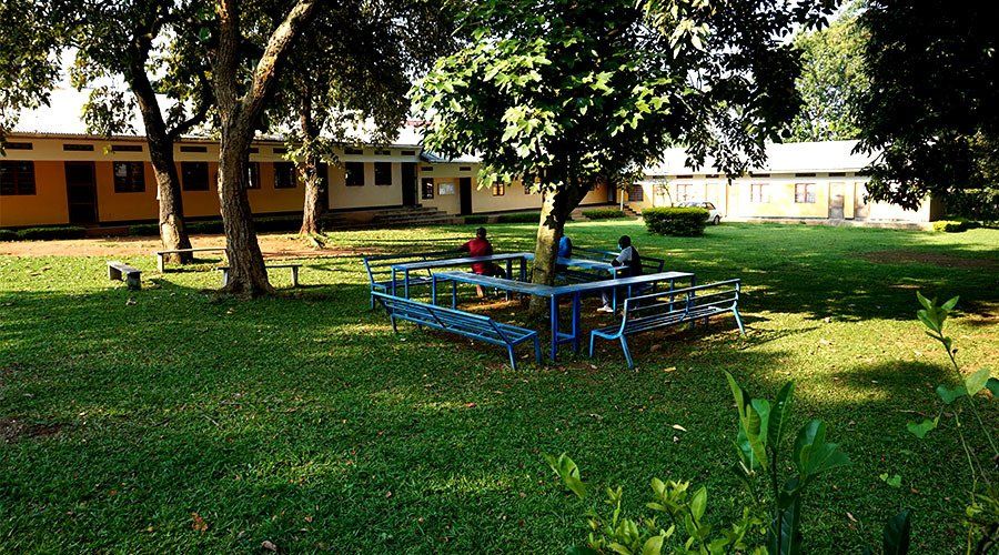 A group of people are sitting at tables in a park.