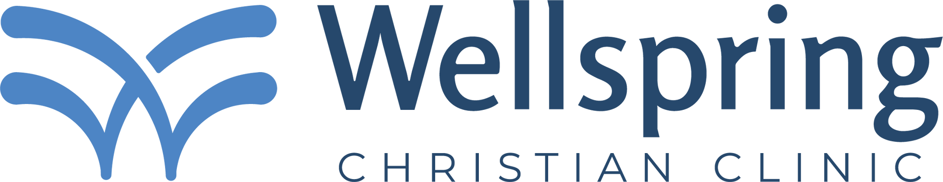Wellspring Christian Clinic logo with blue stylized lines and the clinic name in blue and gray text