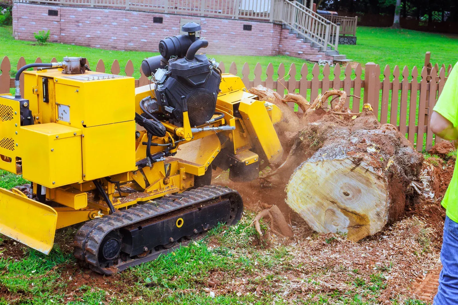 A bright yellow, track-mounted stump grinder cuts into a large tree stump in a grassy yard near a wooden fence.