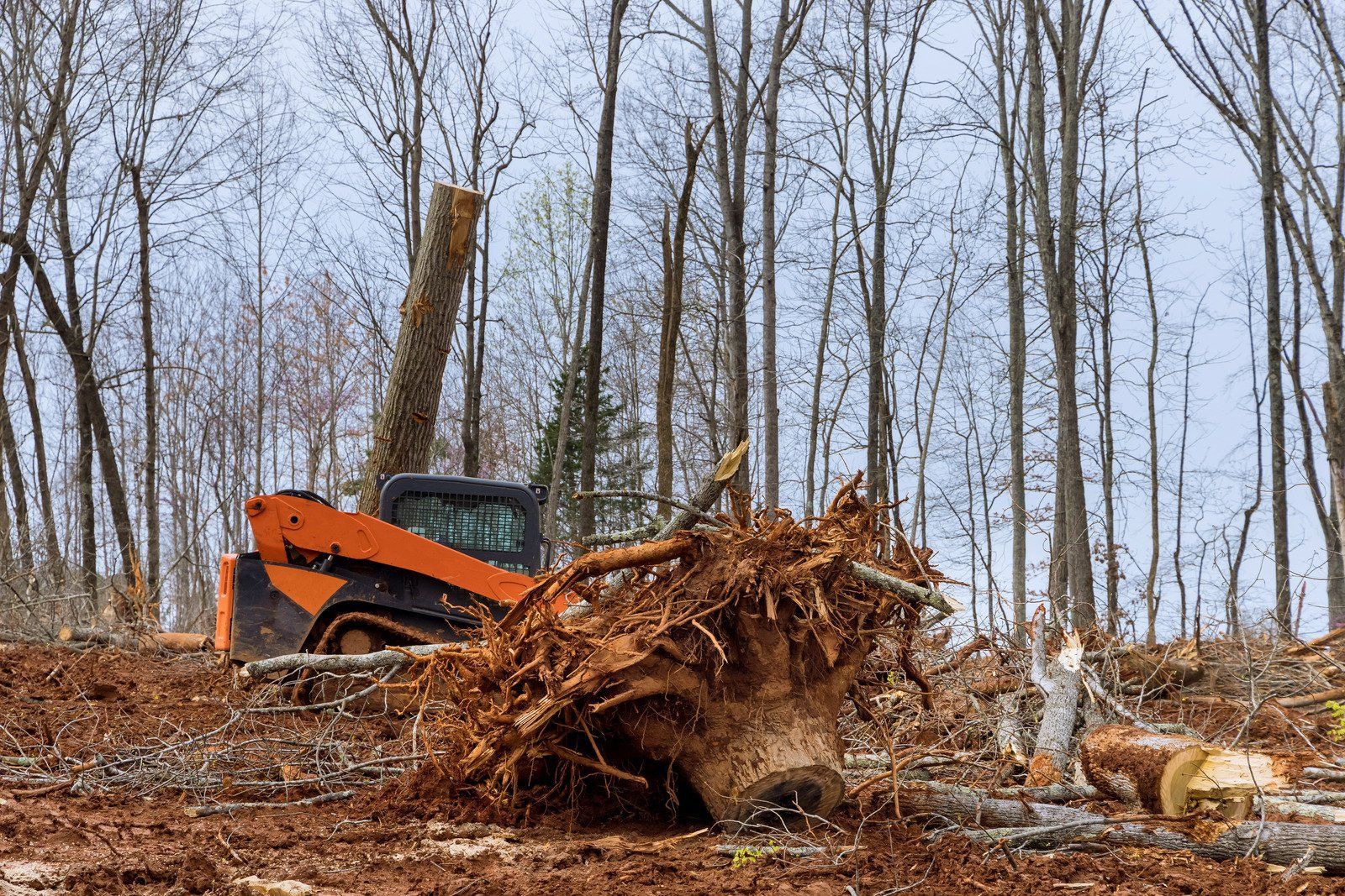 A yellow skid-steer loader dumps a pile of reddish dirt on a construction site near a forest.