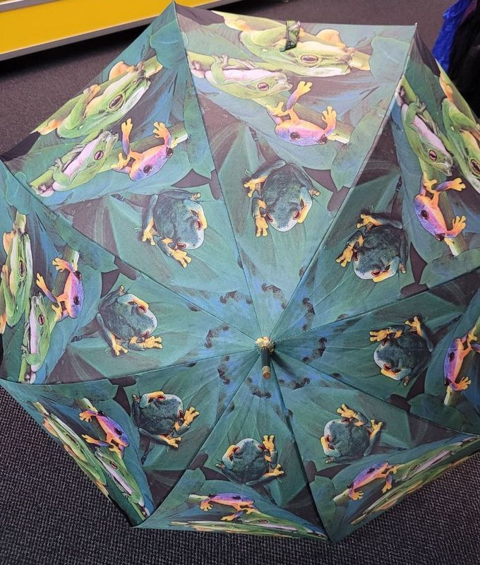 Green Umbrella Decorated With Frogs Resting on Leaves — Shona's Lingerie in Hermit Park, QLD