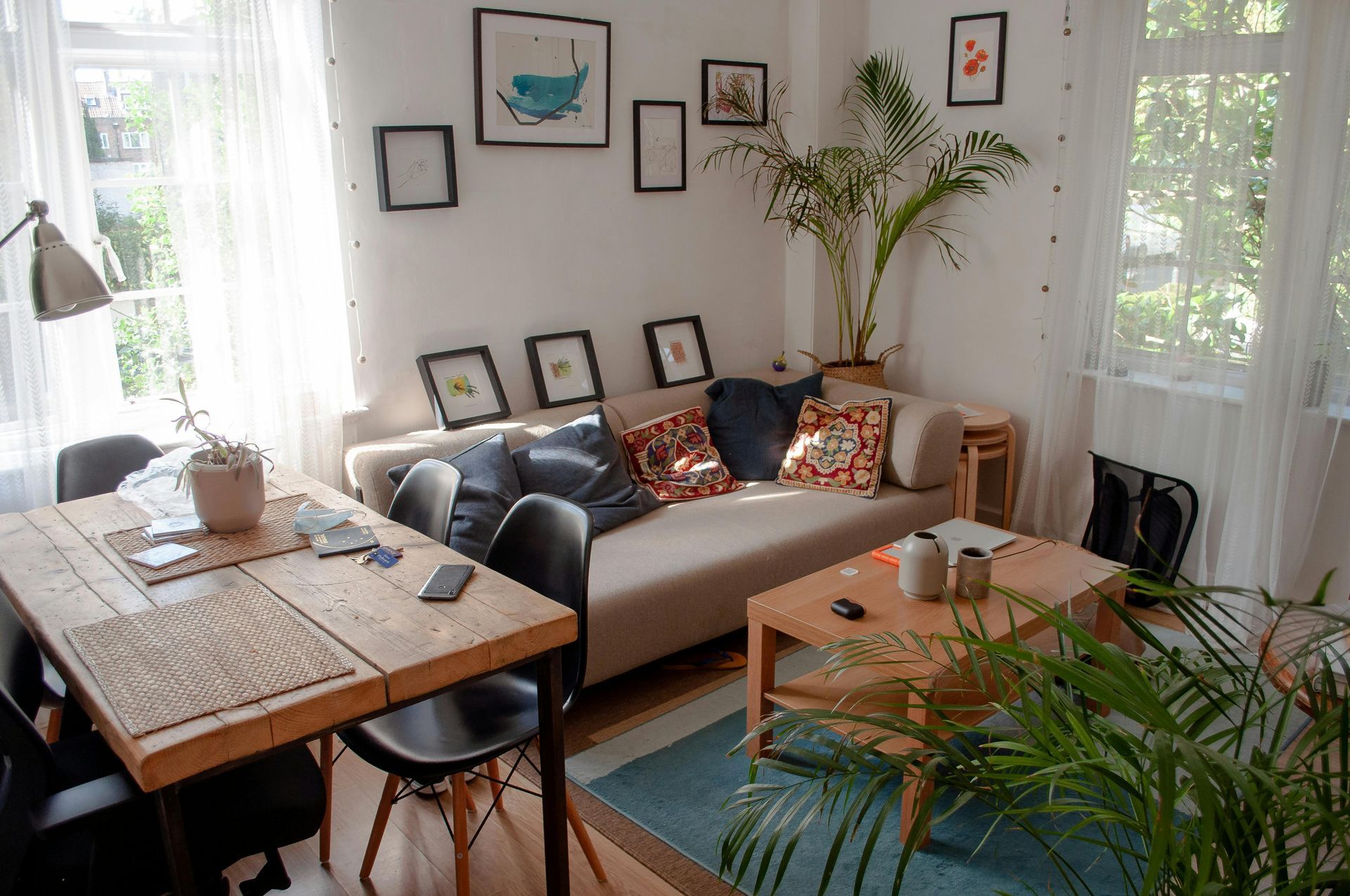 A modern apartment with picture frames, a couch, coffee table, rug, and tropical plants