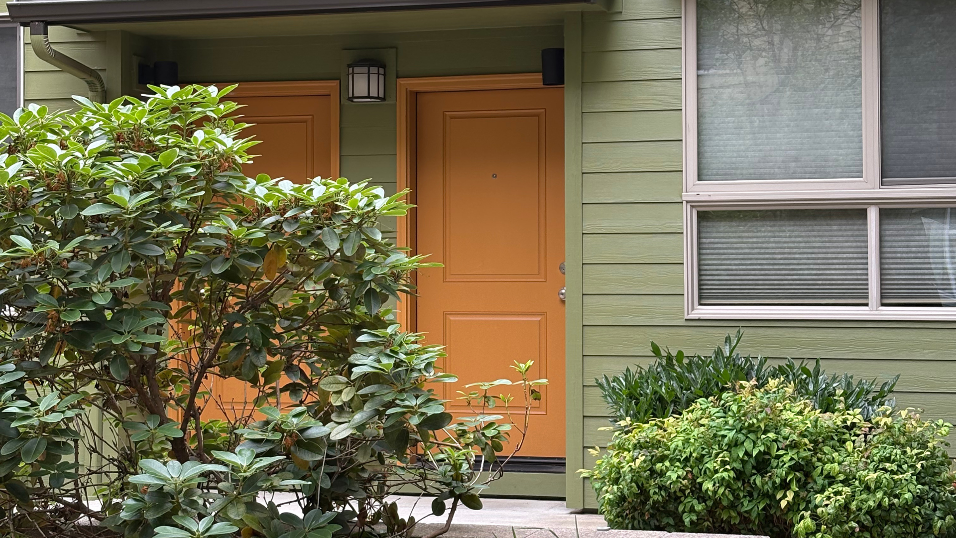 Orange and yellow front doors to an apartment complex with green siding and lush green bushes