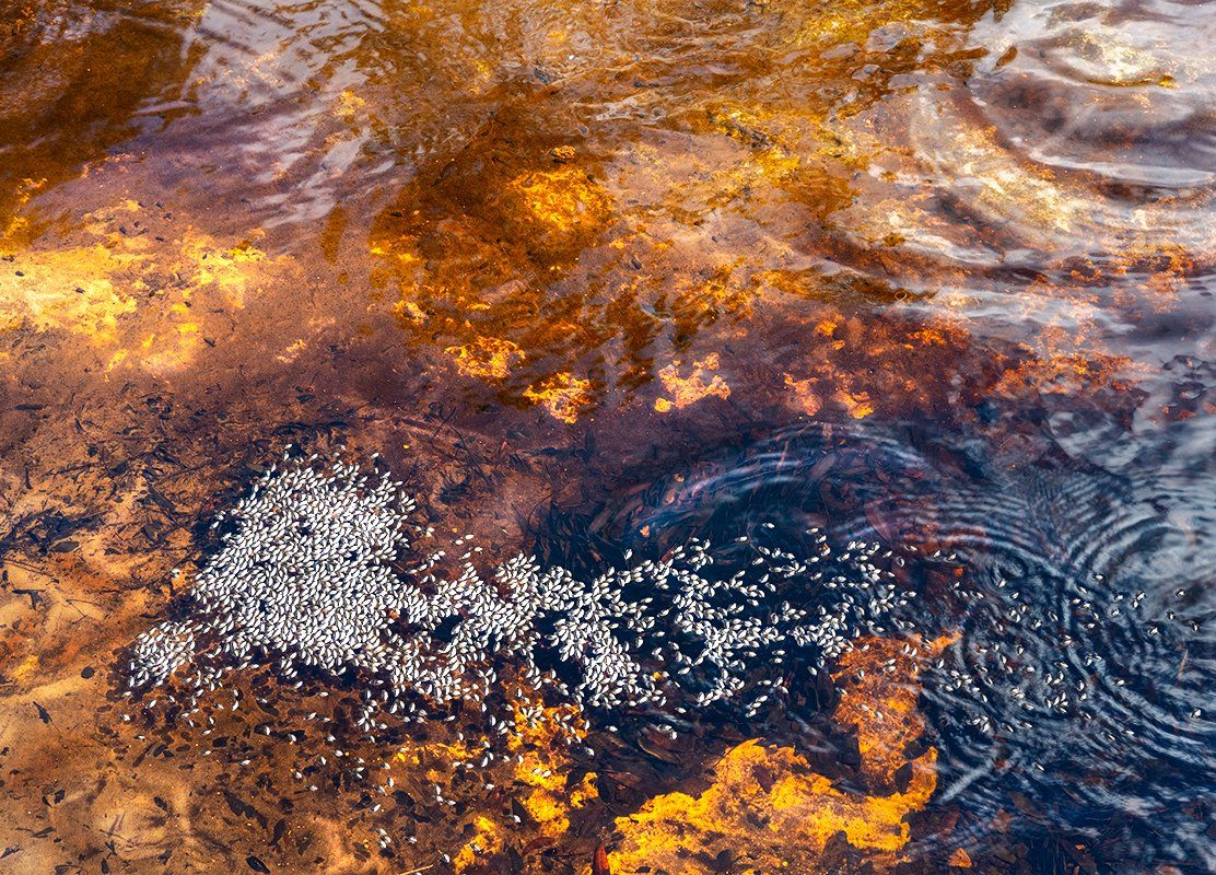 abstract photograph