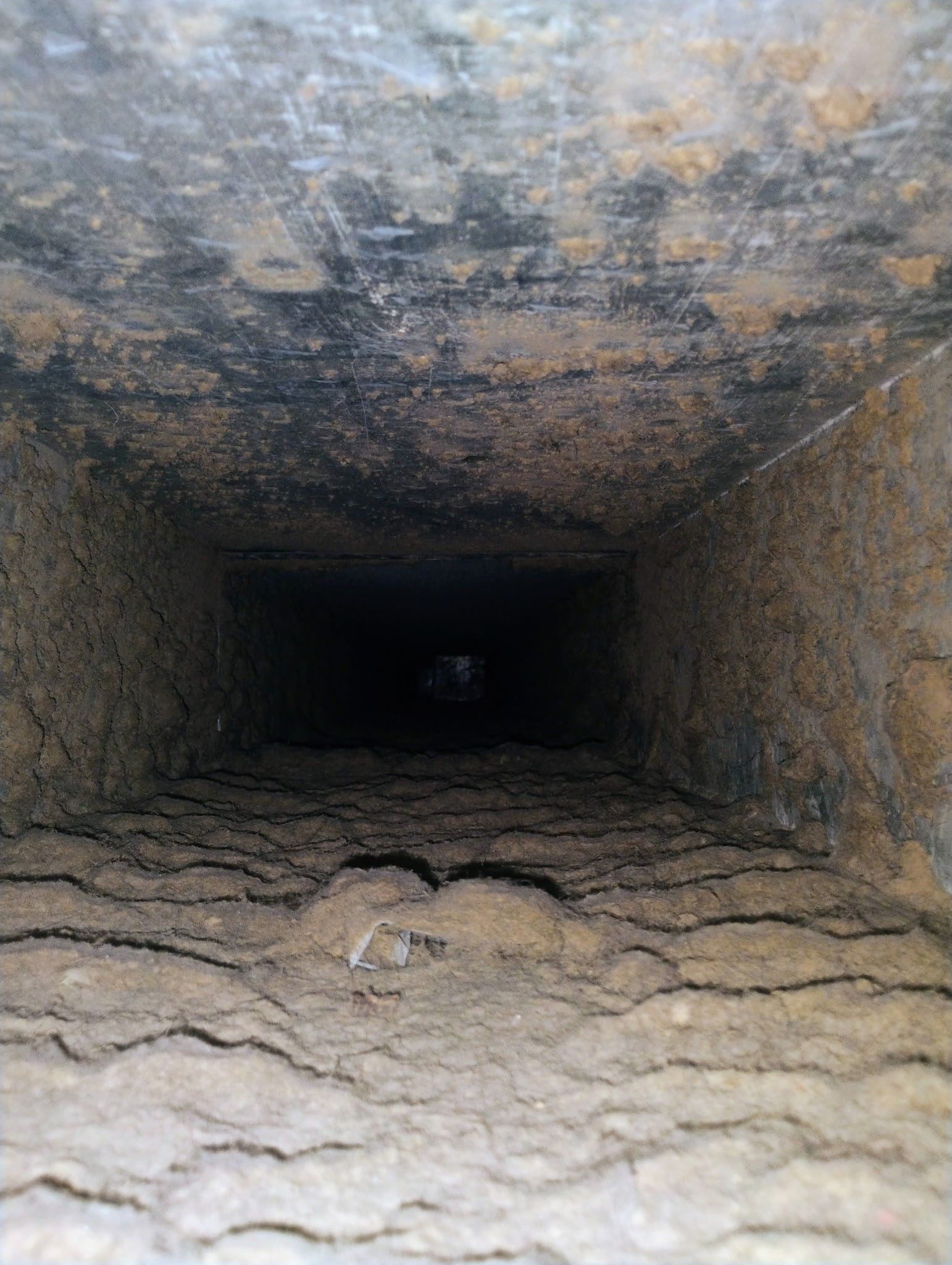 Dirty air duct interior with heavy dust and debris buildup inside HVAC ductwork in a Wisconsin home.
