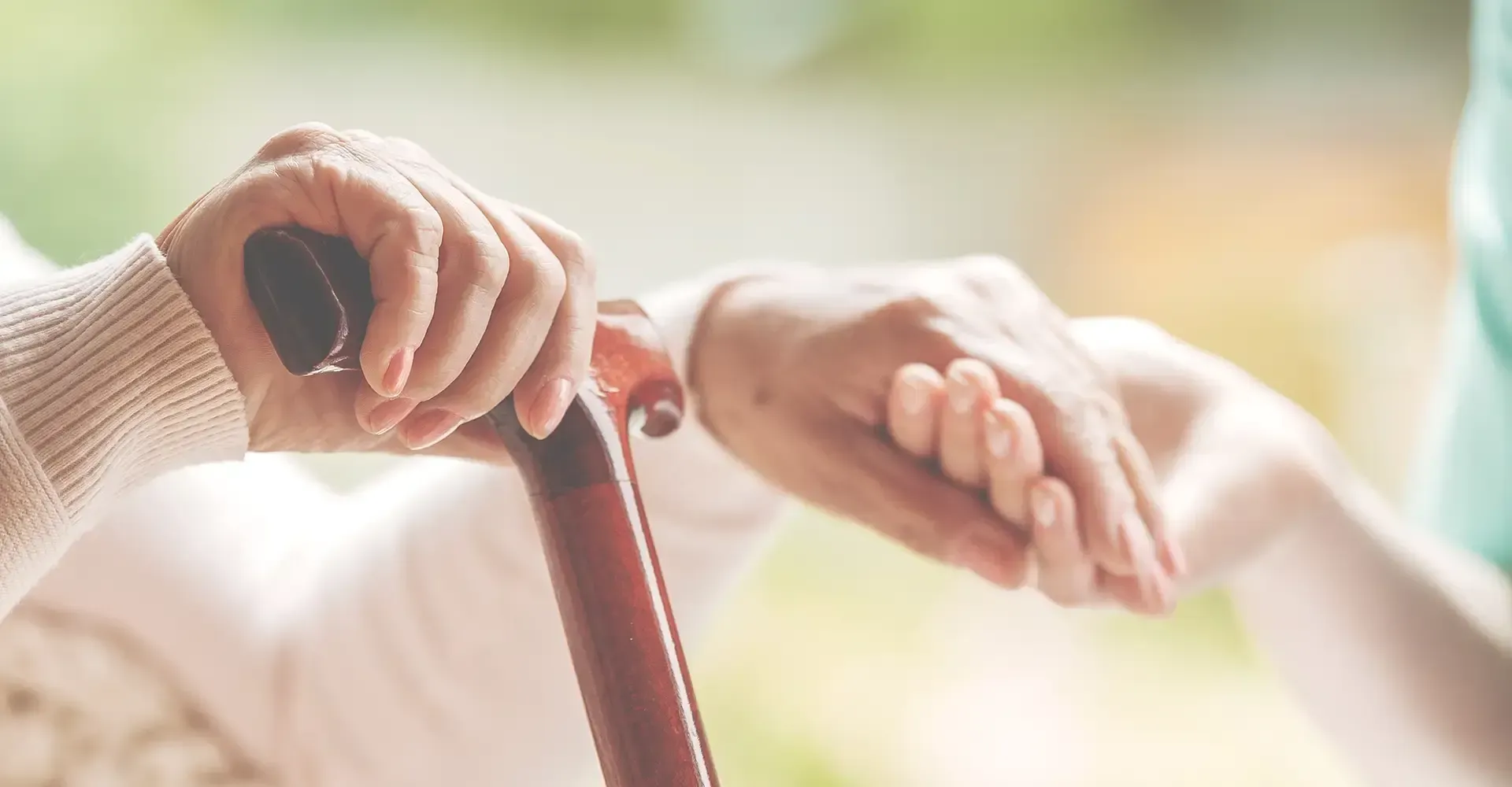 senior services lexington nc