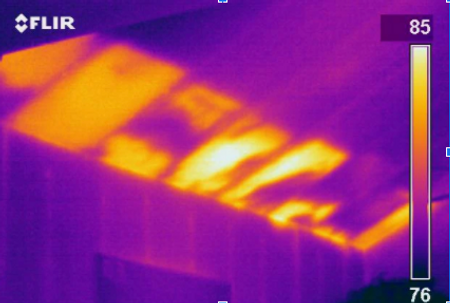 Potential Nests of Ants or Termites — Sydney, NSW — 10 Star Building Assessments