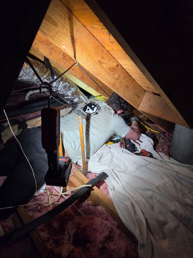 Electrical wires, various colors, connected with wire connectors, extending from a metal box.