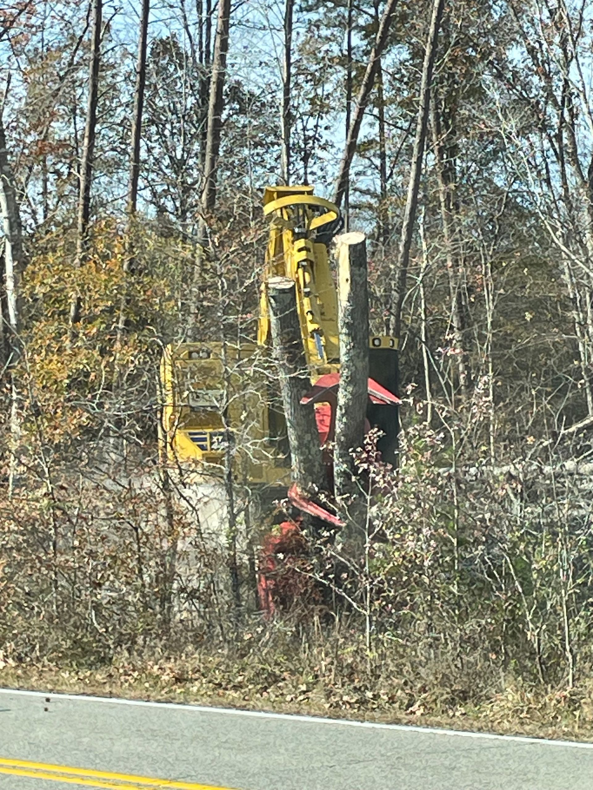 Bulldozers clearing a deforested area for construction. Smoke rises in the background near trees and power lines.