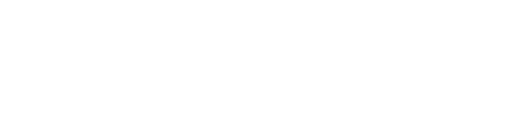 Logo Brunner