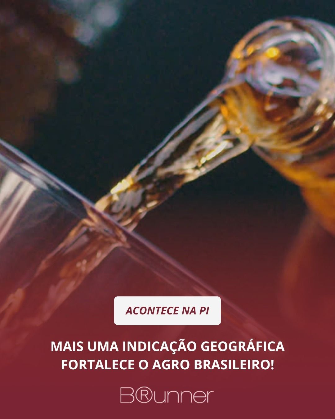 Mais uma Indicação Geográfica fortalece o agro brasileiro!