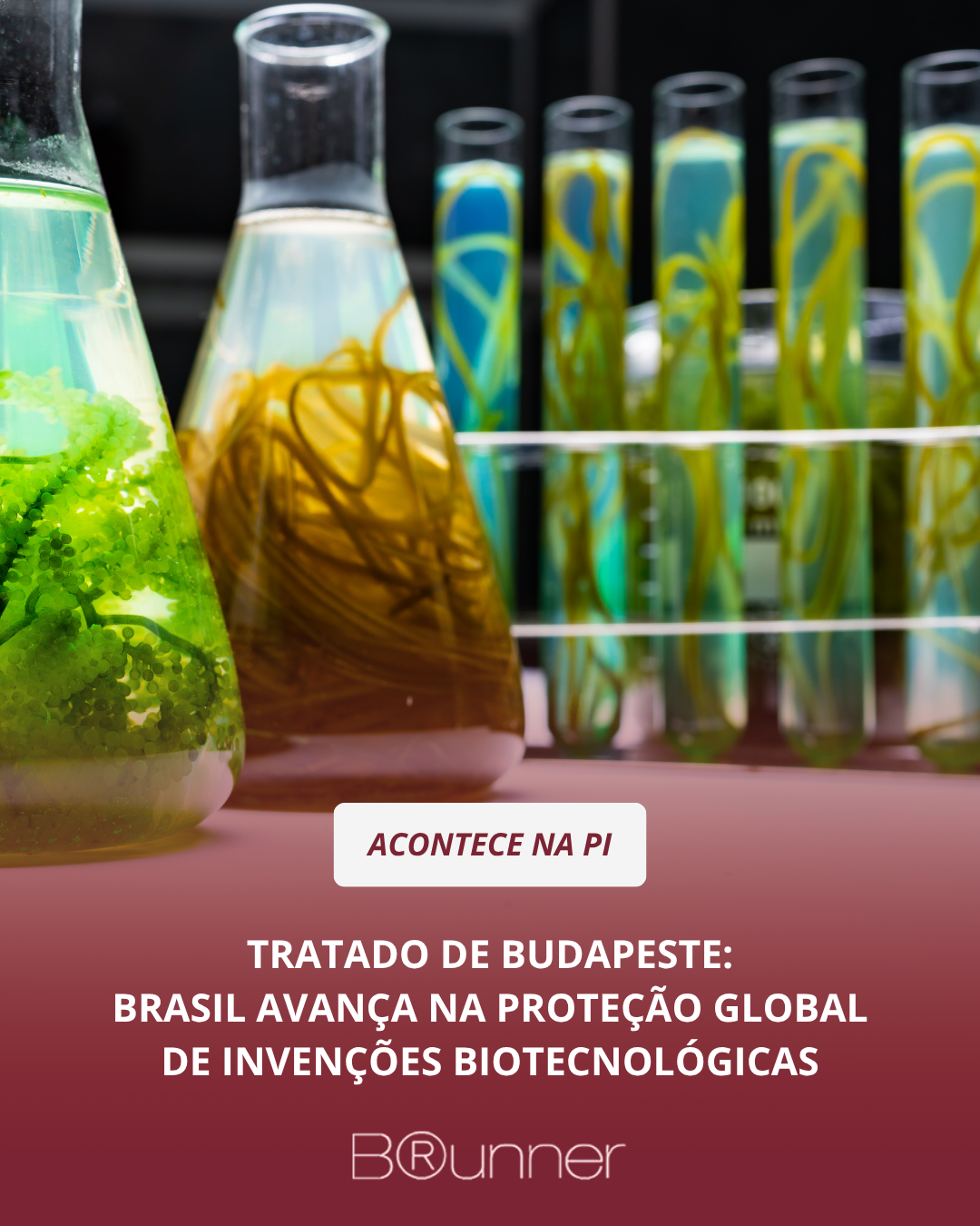 TRATADO DE BUDAPESTE: BRASIL AVANÇA NA PROTEÇÃO GLOBAL DE INVENÇÕES BIOTECNOLÓGICAS