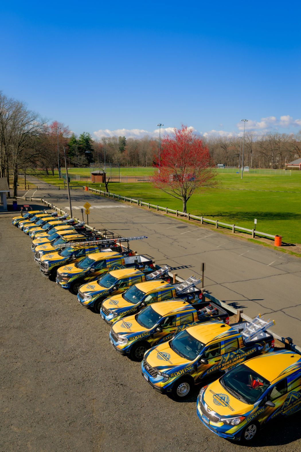 Row of yellow-and-blue taxis parked along a road beside a grassy park under a clear blue sky