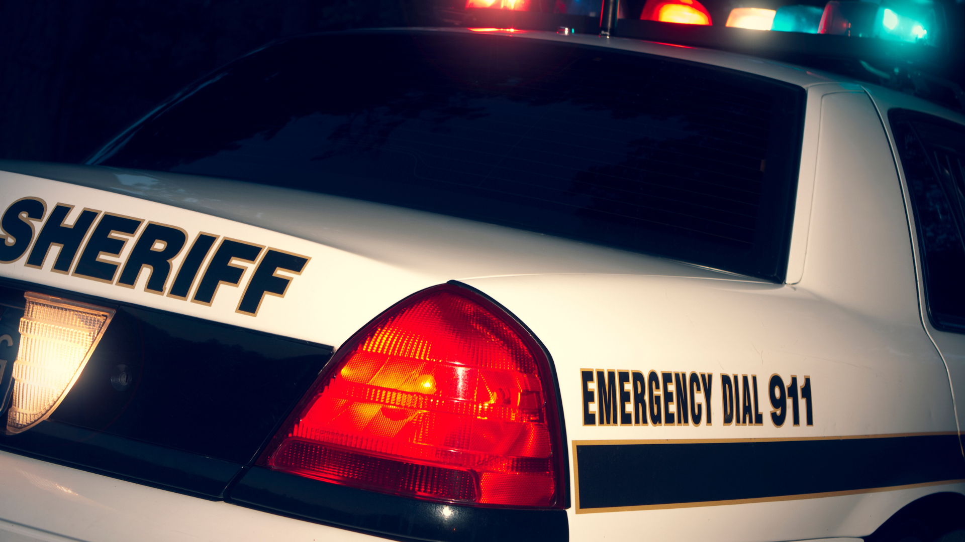 A row of police cars are parked next to each other on a city street.